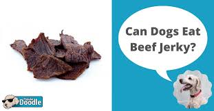 100 grams of crickets contains 12.9 grams protein, 5.5 grams fat, and 5.1 grams of carbohydrates, plus numerous minerals and trace elements. Can Dogs Eat Beef Jerky Is Beef Jerky Bad For Dogs