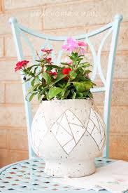 We did not find results for: Cement Flower Pot