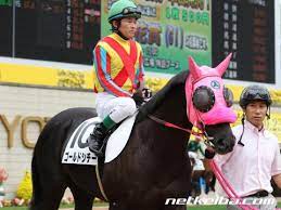 馬 番 オッズ （人気） 着順 タイム （上がり3f） 着差 騎手 斤量 kg 1着馬（2着馬） 馬体重 kg 出典 2018. ã‚´ãƒ¼ãƒ«ãƒ‰ã‚·ãƒãƒ¼ ç«¶èµ°é¦¬ãƒ‡ãƒ¼ã‚¿ Netkeiba Com