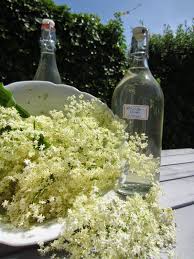 Noch Bluht Er Der Holunder Deswegen Und Auch Weil Meine Liebe Tante Winkewinke Mir Das Tolle Rezept Fur Ihren Holu Holunderblutenschnaps Schnaps Holunder