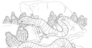 Please choose the leopards coloring pictures you want to color. Desert Animals And Plants Coloring Pages