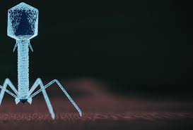 Image result for Virus