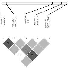 Comprehensive Analysis Of Hfe Gene In Hereditary