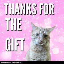 51 Nice Thank You Memes With Cats Thank You Memes Memes Funny Thank You