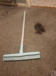 (if you don't have a mop, you can attach a damp cloth to a regular broom and brush it. Mum Left Horrified After A B M Brush Reveals Huge Clumps Of Dog Hair Hidden In Her Carpet