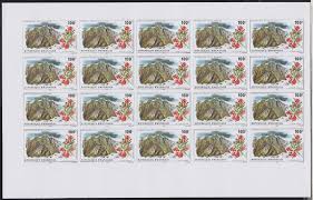 Image result for Polystachya kermesina