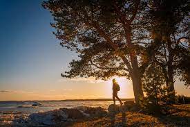 Check spelling or type a new query. 244 Man Under Lonely Tree Photos Free Royalty Free Stock Photos From Dreamstime