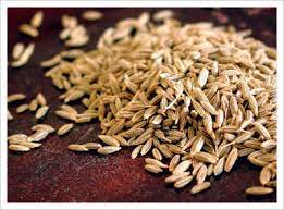Jintan putih atau orang sering mendengarnya dengan sebutan cumin, merupakan salah satu jenis rempah yang biasa digunakan sebagai bumbu. Jintan Putih Vs Jintan Manis How To Dry Basil Herbs Basil