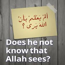 'how far that little candle throws his beams! Narrated Jundub The Prophet ï·º Said He Who Lets The People Hear Of His Good Deeds Intentionally To Win Their Prai Islamic Quotes Quotes English Reference