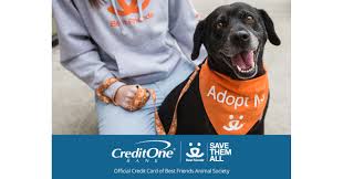 I recently just got out of the privilege of using another's card ends with the relationship. Credit One Bank Pledges 1 Million To Best Friends Animal Society