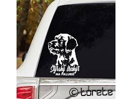 Image result for štýrský brakýř