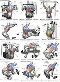 Arka Kol Best Chest Workout Chest Workouts Gym Workouts