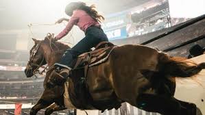 Cowgirl Biz: Empowering Cowgirl Entrepreneurs And Inspiring A ...