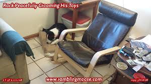 The matching white sofas go well with the entire theme, making the place look well put together. Poang Ramblingmoose