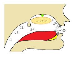 makharij مخارج emission points learn quran kids learn quran learning arabic quran