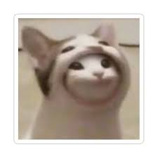 After that a video with this cat chirping at bug but with photoshop was posted on ifunny and became. Hoodie Pop Cat Sticker By Maria Achiricioae In 2021 Pop Cat Cute Baby Cats Cat Aesthetic