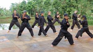 It was the first martial arts association to be registered in the country, and is now the biggest and most internationally known malaysian silat discipline. Pencak Silat Tribunnewswiki Com Mobile