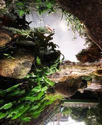 散步的意外驚喜 水有如明鏡 travel aquarium