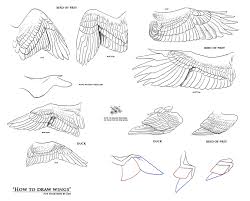 Vector illustration isolated on white background. How To Draw Wings Resources By Fan The Little Demon On Deviantart