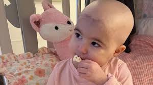 Fundraiser by Deborah Shields : Help Aarilyn Kaylee Shields Find Her  Forever Home