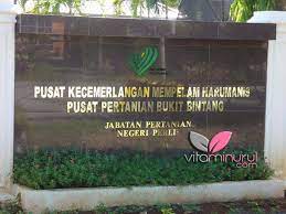 We did not find results for: Harumanis Jabatan Pertanian Perlis Pengedar Shaklee Kuala Terengganu