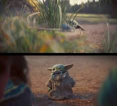 Looks Like Baby Yoda Learnt How Not To Eat A Frog Episode 2 Parallel Sanctuary Episode4 Felt Cute Might Eat A Frog Later Idk Yoda Cute Mandalorian