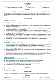 resume & cv sample for media buyer