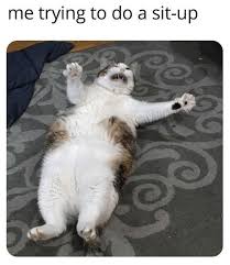 Even if it is late at night, they are still the most amazing thing to see last before you sleep. 36 Hiss Terical Caturday Cat Memes That Ll Keep You Smiling All Day Long Funny Animal Memes Animal Memes Funny Cat Memes