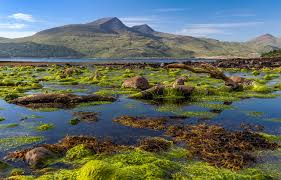 Landschappen reizen schotland op reis afbeeldingen vakanties fotografie natuurlijk landschap reisbestemmingen reizen. Achtergronden Schotland Isle Of Mull Berg Natuur Eiland Stenen