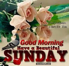 Good Morning Have A Beautiful Sunday Quote With Flowers Have A Beautiful Sunday Happy Sunday Quotes Good Morning Sunday Images