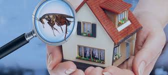 Pest control workers, in qatar. Pest Control Companies In Bahrain Pest Control Bahrain Expatriates