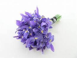 Here is a list of our best choices. Beautiful Iris Flowers For Sale For The Most Mesmeric Weddings