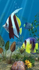 Aquarium live wallpaper for pc. Most Downloaded Animal Mobile Phone Wallpaper Free Download Aquarium Live Wallpaper Fish Screensaver Live Fish Wallpaper