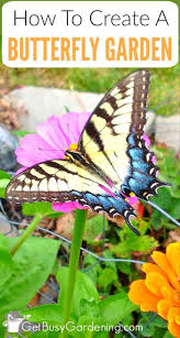 Creating A Flower Garden With Butterflies In Mind Is Fun And Rewarding Learn How To Butterfly Garden Plants Flowers That Attract Butterflies Butterfly Garden