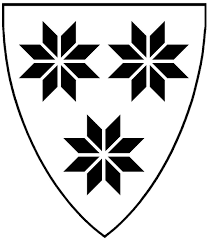Den har navn etter byen trondheim, historisk kjent som nidaros. Fakta Om Kommunen Selbu Kommune