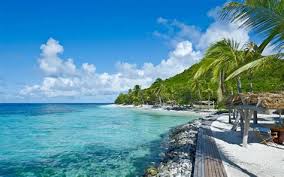 Memiliki kendaraan roda 2 dan sim c. St Vincent Caribbean Wallaboo St Vincent Caribbean Saint Vincent Pirates One Eastern Caribbean Dollar Equals Roughly 0 37