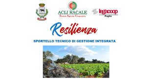 Scopriamola insieme con le frasi sulla resilienza e le immagini. Resilienza Archivi Ponte Project