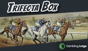 Trifecta Box Trifecta Box Betting Costs And Payouts