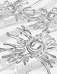Plant cell clipart black and white. Plant Cell Microbiology Coloring Book Book Sketch White Text Png Pngegg