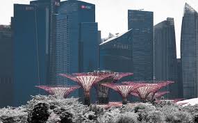 Our proven approach to executive recruitment and international offices, including a base in singapore, have led to the constant growth of both our client. This Is What Your Private Banking Salary And Bonus Should Be In Singapore Efinancialcareers
