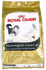 Royal Canin Cat Food Norwegian Forest 10 Kg Read More Details By Clicking On The Image Catfood Cat Food Food Eukanuba Dog Food