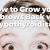 Eyebrow Hair Loss Treatment