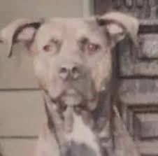 How to reach Lillian Rolon in Jersey City?