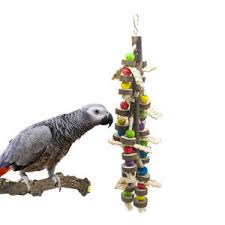 Using things you have around the house are more familiar to. Diy Wooden Bird Toys Supplies And Accessories Alibaba Com