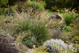 Solange Es Im Herbst Nicht Friert Ist Es Auch Im Garten Noch Bunt Neben Zahlreichen Astern Finden Sich Noch Viele Weitere Bluhend Garten Stauden Garten Ideen