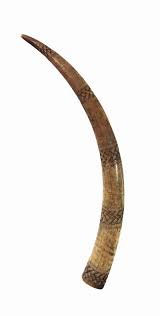 Tusk - AF5069 | Collections - Penn Museum