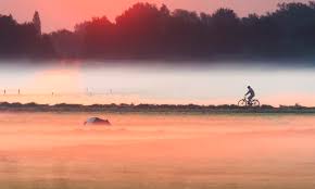 Vervolgens fietst u langs de plassen naar breukelen en door het bos terug naar loosdrecht. Fietsroute Langs De Allermooiste Vechtplassen Natuurmonumenten