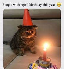 Happy Birthday To Me Meme 2020 Pin By Elizabeth On A Books And Quotes In 2020 Cat Birthday Funny Cat Memes Cat Memes