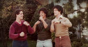 Lisa guerrero of the inside edition was hesitant regarding the results of the home tests and didn't want to wait to hear the results when they were read live on the show. Three Identical Strangers Netflix The True Story Doc Is Now Available