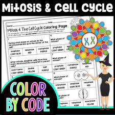 Cell membrane coloring worksheet answer key. Mitosis And The Cell Cycle Color By Number Science Color By Number